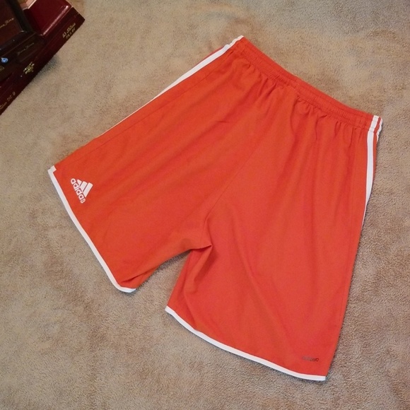 ADIDAS women's shorts, training shorts, adizero - Picture 2 of 7